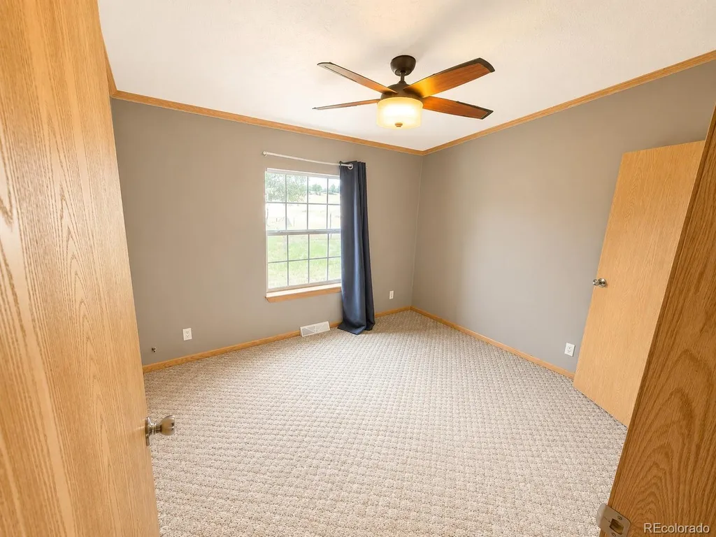 26388 Bassam Circle Buena Vista CO 81211