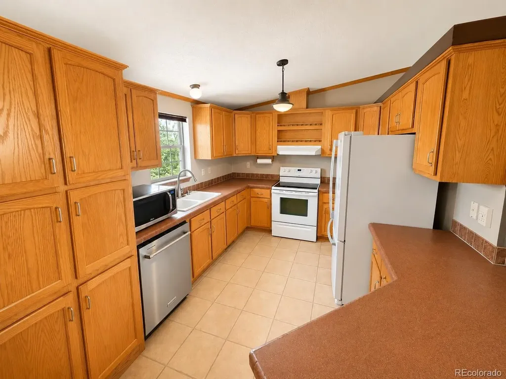 26388 Bassam Circle Buena Vista CO 81211