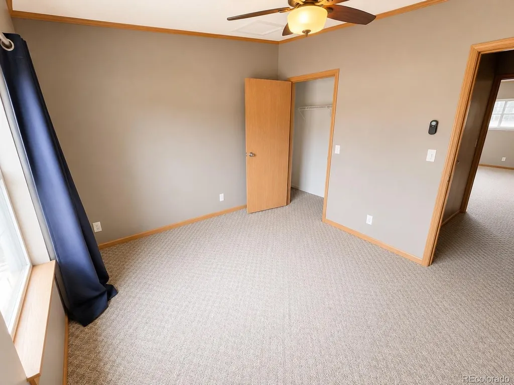 26388 Bassam Circle Buena Vista CO 81211
