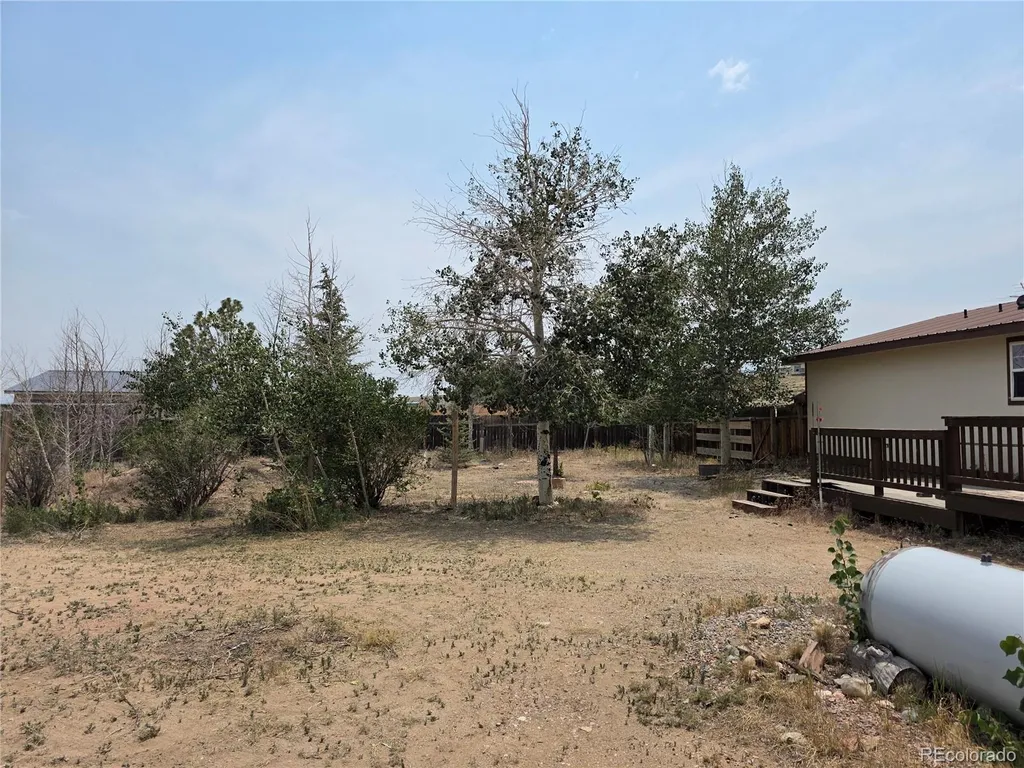 26388 Bassam Circle Buena Vista CO 81211