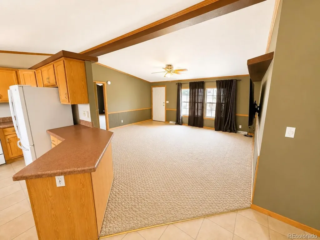26388 Bassam Circle Buena Vista CO 81211