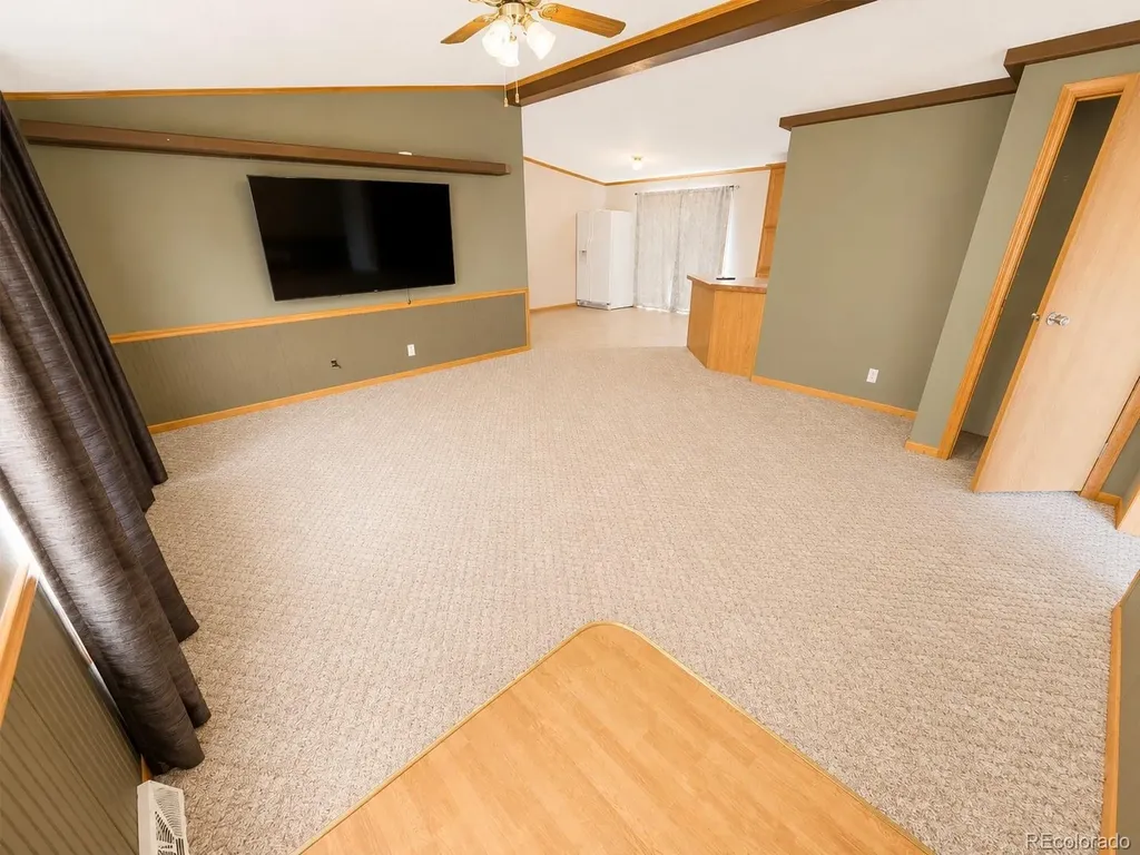 26388 Bassam Circle Buena Vista CO 81211