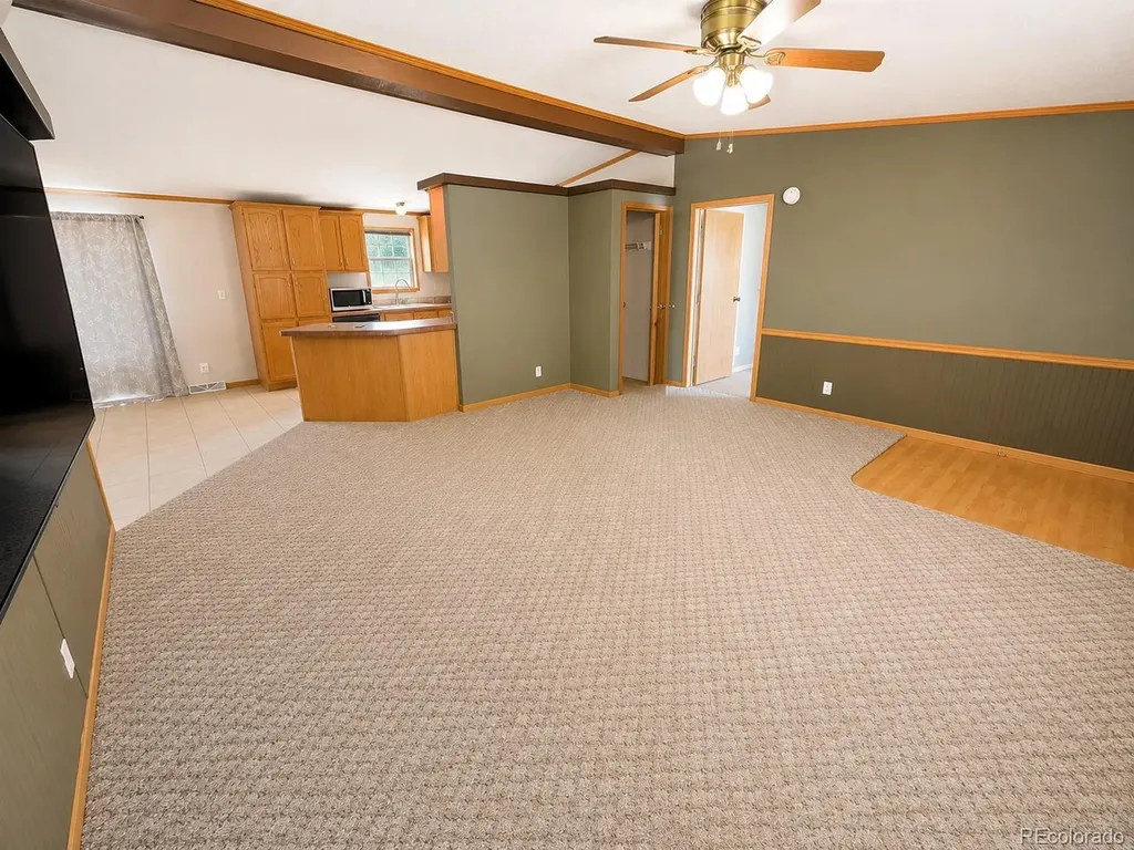 26388 Bassam Circle Buena Vista CO 81211