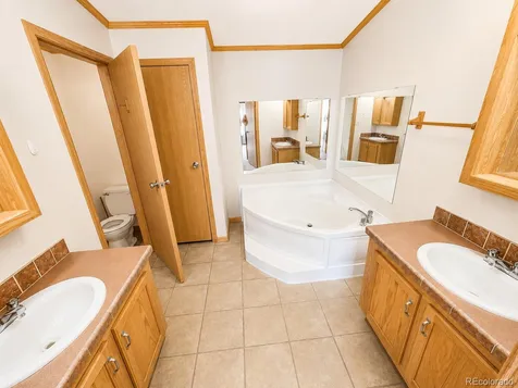 26388 Bassam Circle Buena Vista CO 81211