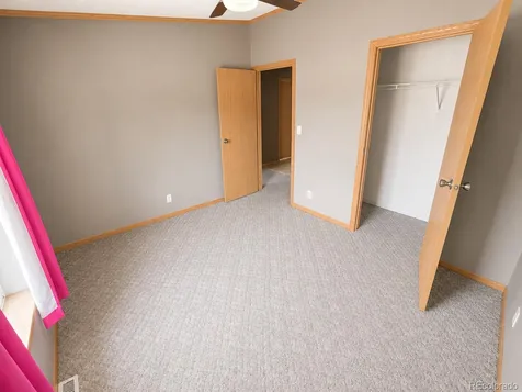 26388 Bassam Circle Buena Vista CO 81211