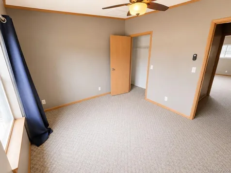 26388 Bassam Circle Buena Vista CO 81211