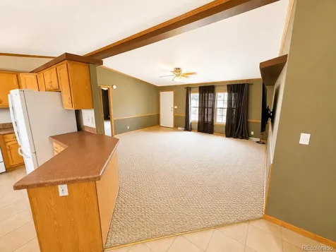 26388 Bassam Circle Buena Vista CO 81211