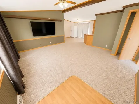 26388 Bassam Circle Buena Vista CO 81211