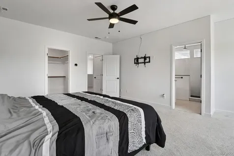 8996 Wolf Valley Drive Colorado Springs CO 80924