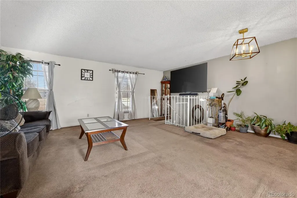 4581 Fullerton Court Denver CO 80239