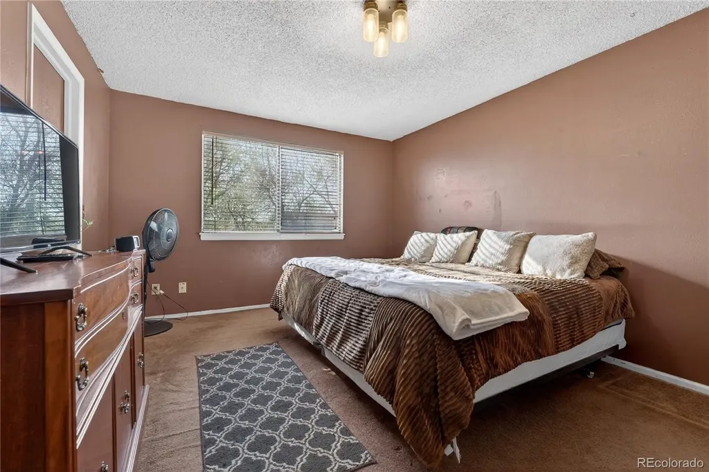 4581 Fullerton Court Denver CO 80239