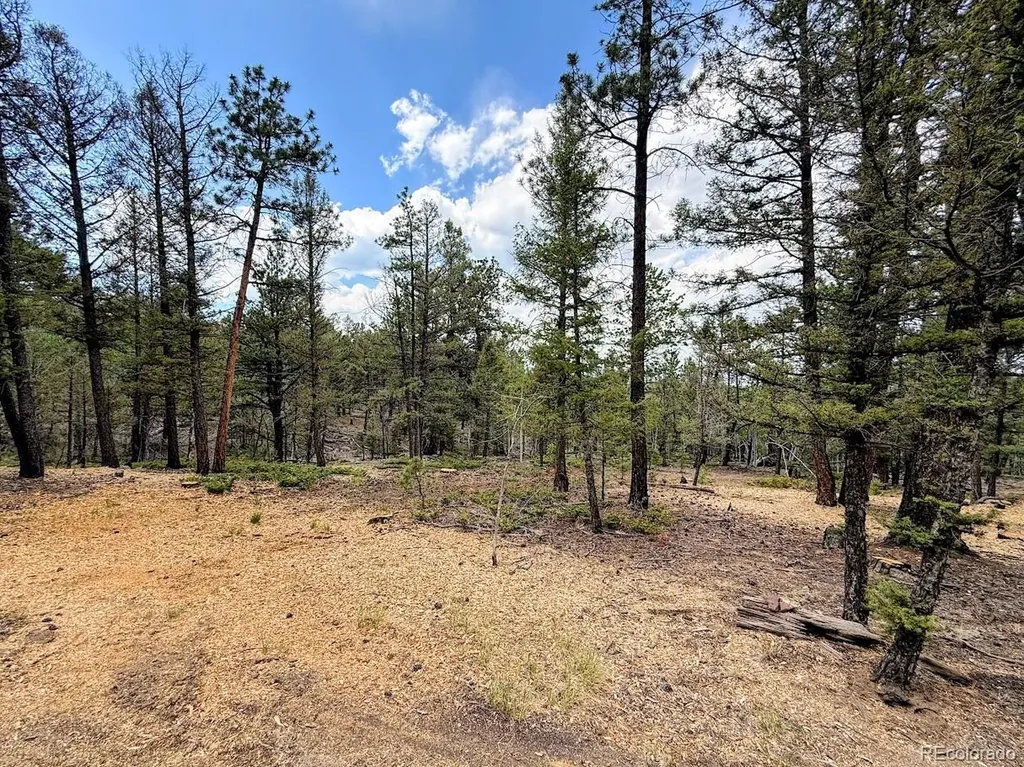 1789 Bellows Road Hartsel CO 80449