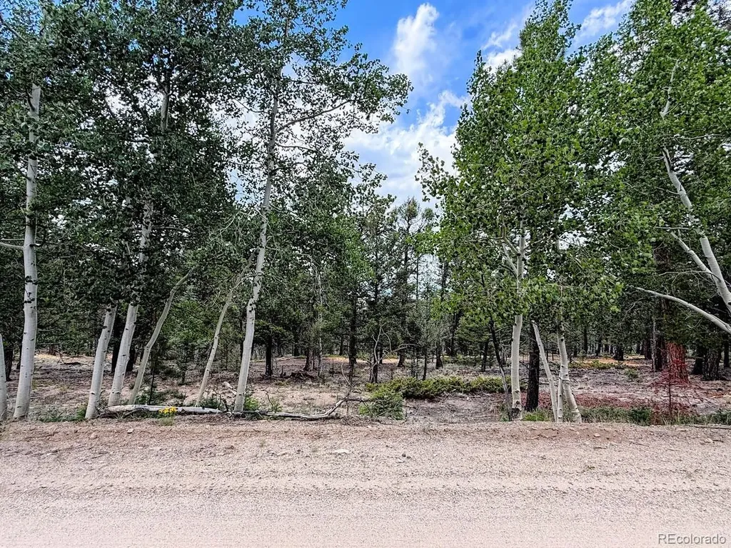 1789 Bellows Road Hartsel CO 80449