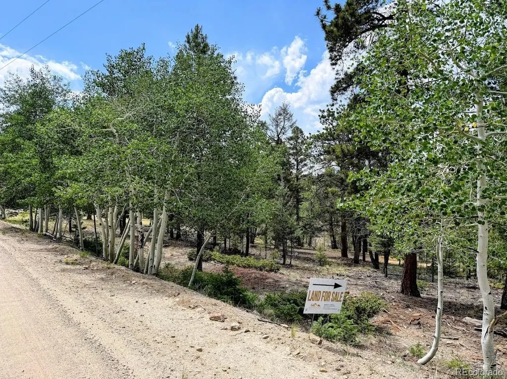 1789 Bellows Road Hartsel CO 80449