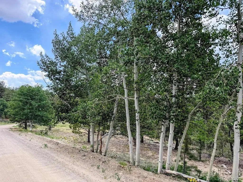 1789 Bellows Road Hartsel CO 80449
