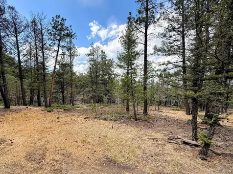1789 Bellows Road Hartsel CO 80449