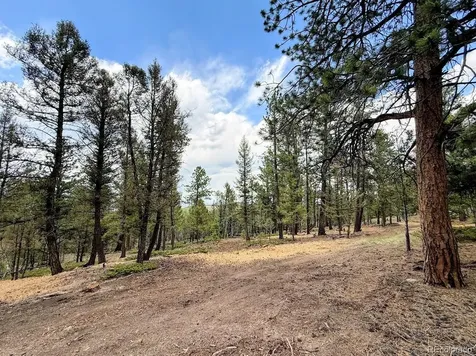 1789 Bellows Road Hartsel CO 80449