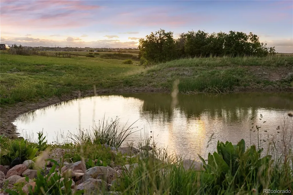 4347 N Crowfoot Valley Road Castle Rock CO 80108