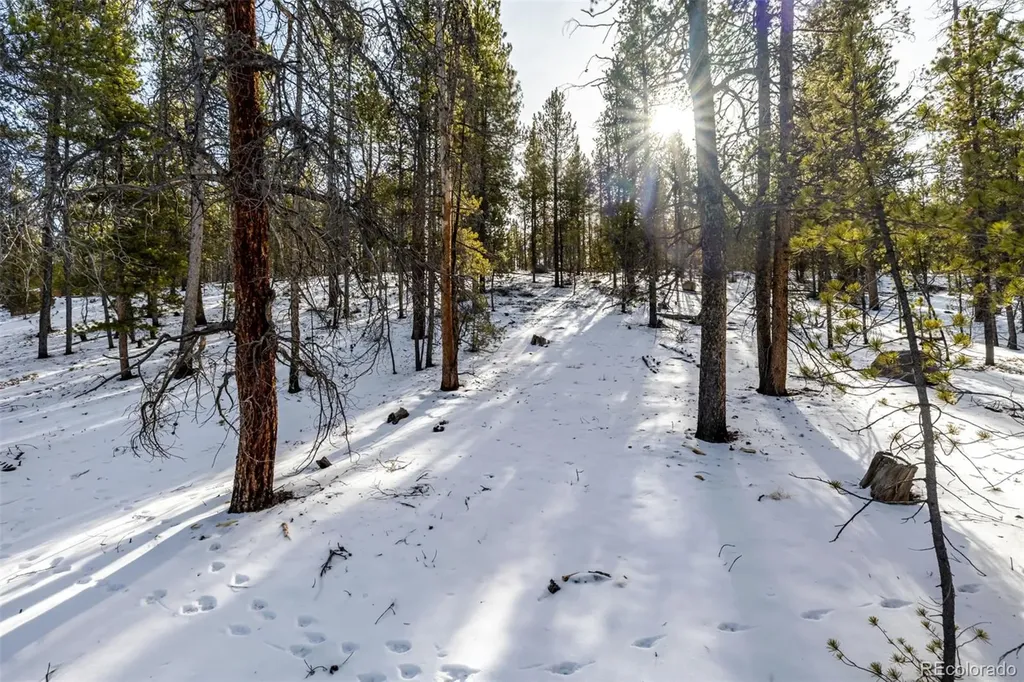 539 Sequoia Drive Leadville CO 80461