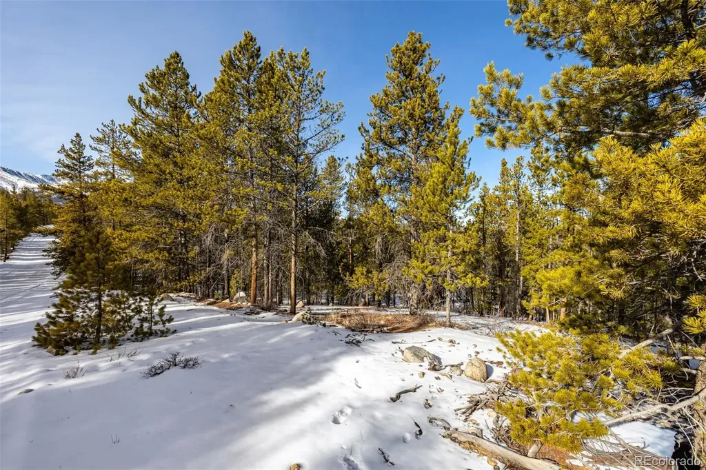 539 Sequoia Drive Leadville CO 80461