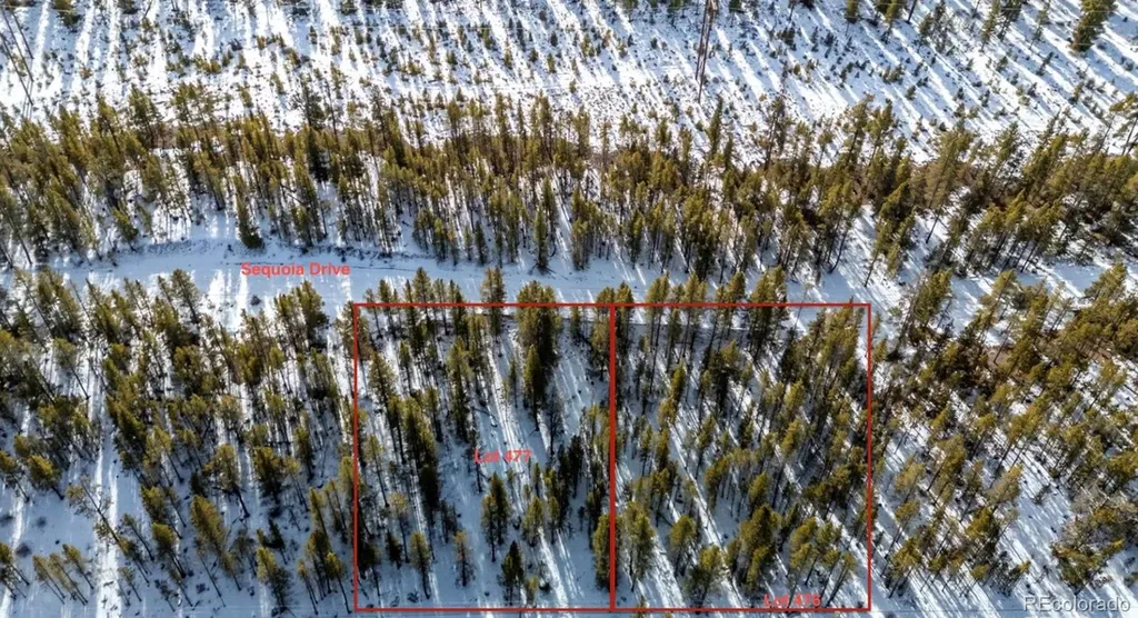 539 Sequoia Drive Leadville CO 80461