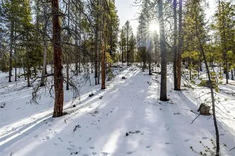 539 Sequoia Drive Leadville CO 80461