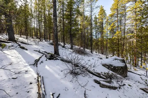 539 Sequoia Drive Leadville CO 80461