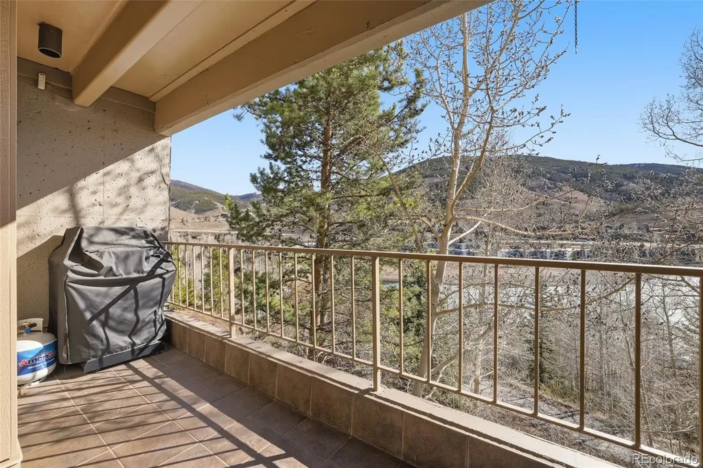 220 E La Bonte Street Dillon CO 80435