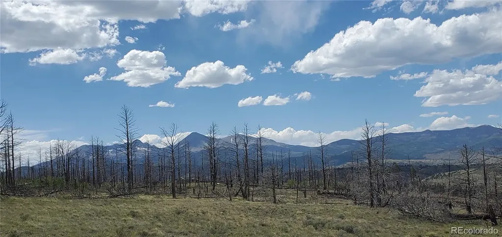 Lot 321 Hagin Lane Fort Garland CO 81133