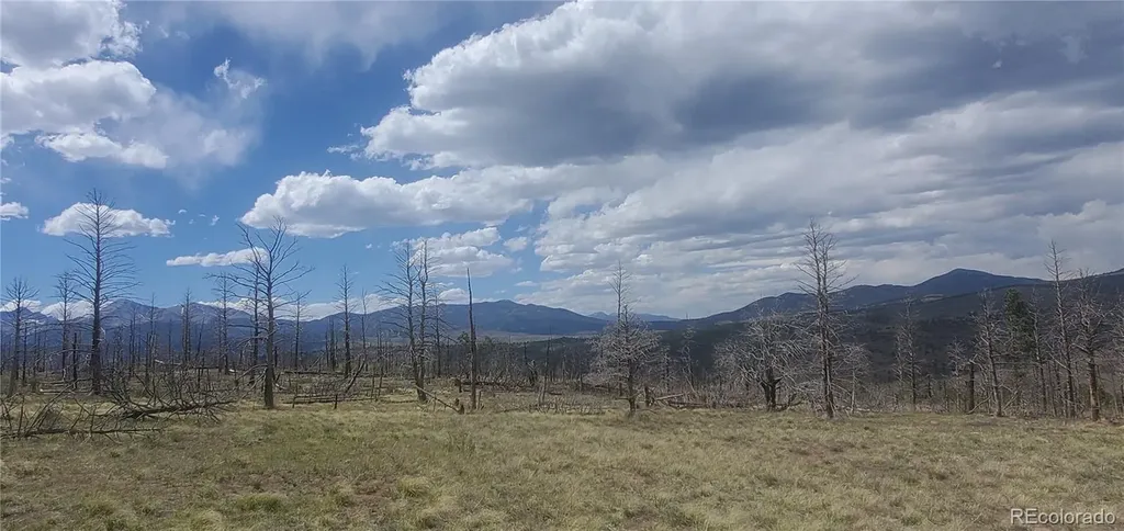 Lot 321 Hagin Lane Fort Garland CO 81133
