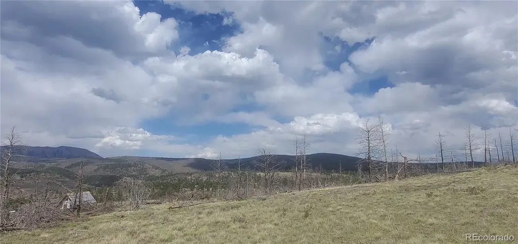 Lot 321 Hagin Lane Fort Garland CO 81133