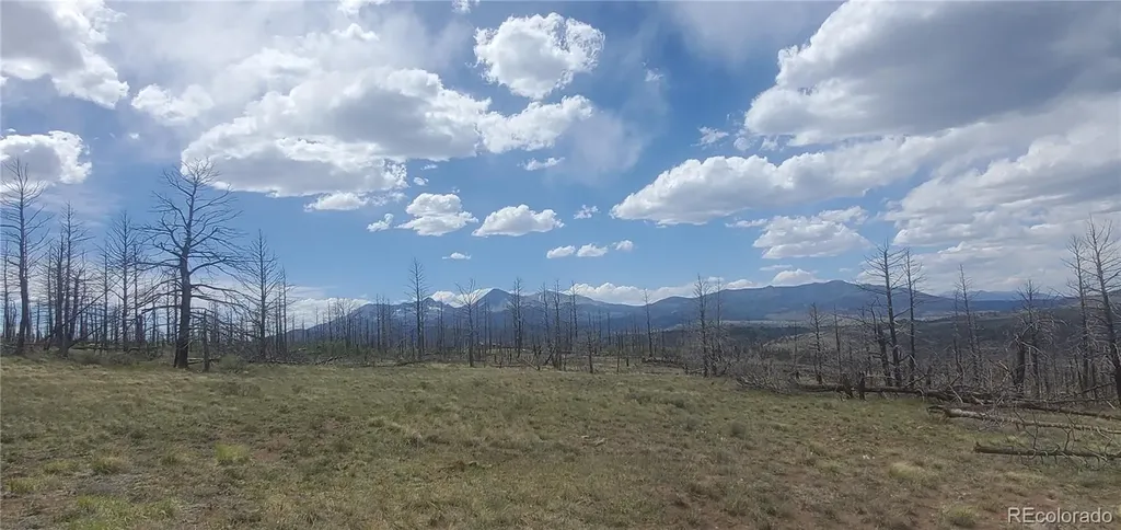 Lot 321 Hagin Lane Fort Garland CO 81133