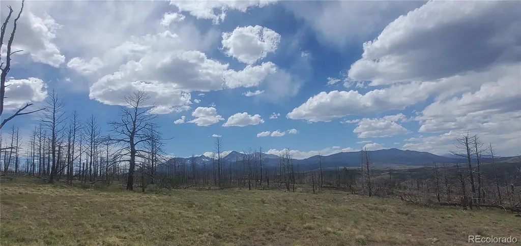 Lot 321 Hagin Lane Fort Garland CO 81133