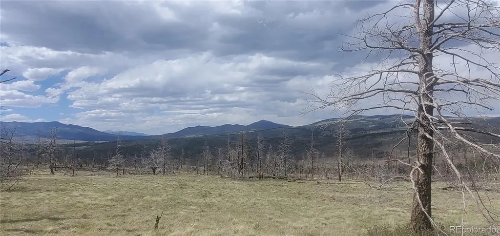Lot 321 Hagin Lane Fort Garland CO 81133