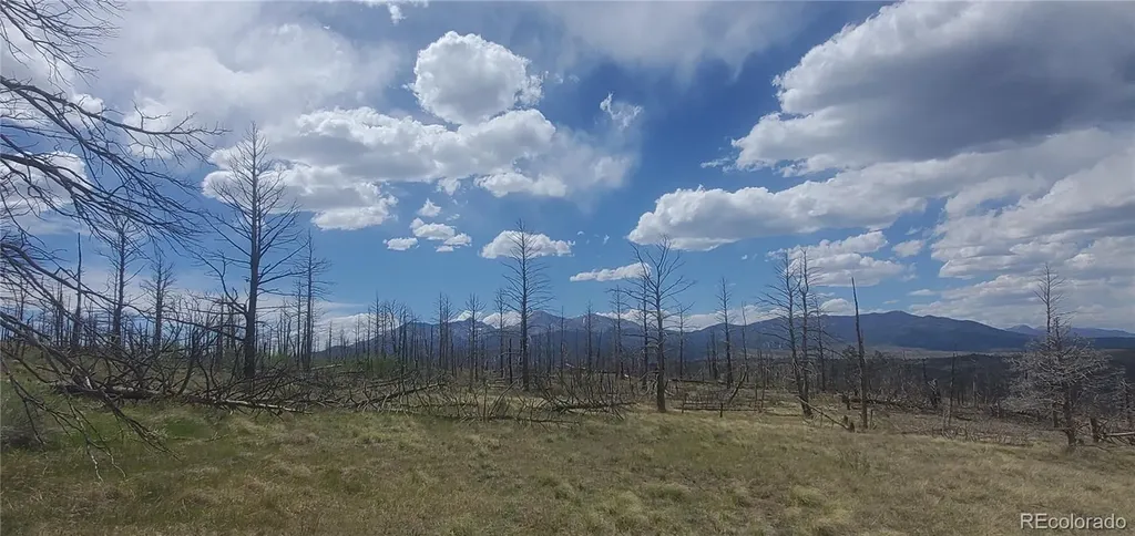 Lot 321 Hagin Lane Fort Garland CO 81133