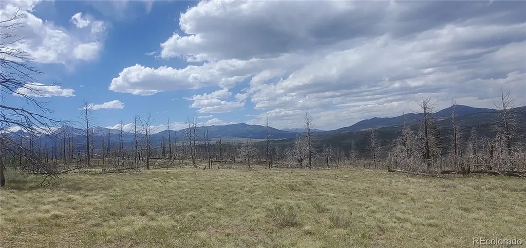 Lot 321 Hagin Lane Fort Garland CO 81133