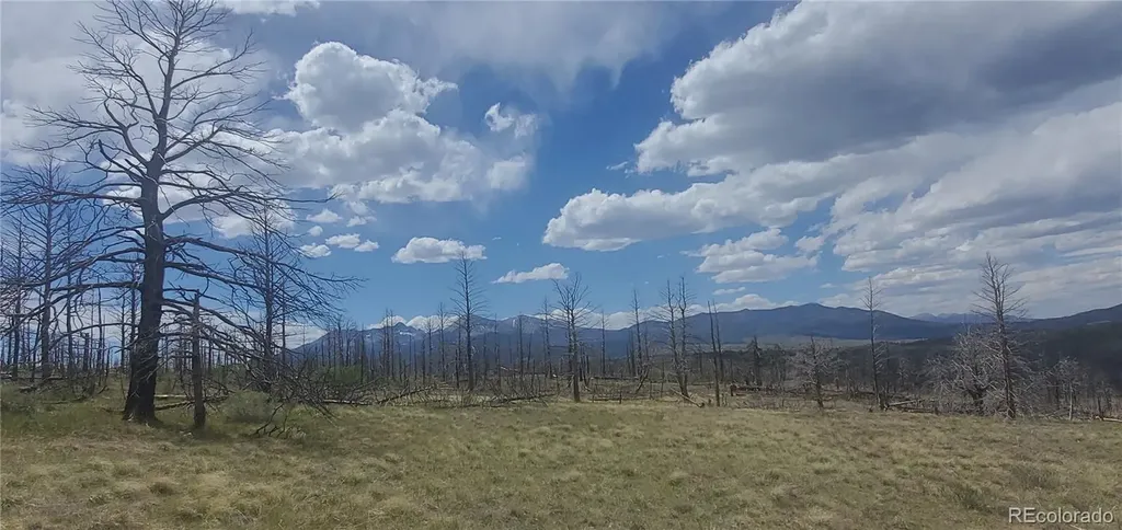 Lot 321 Hagin Lane Fort Garland CO 81133