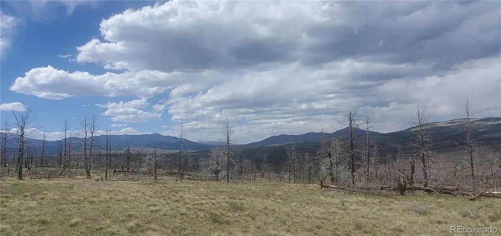 Lot 321 Hagin Lane Fort Garland CO 81133