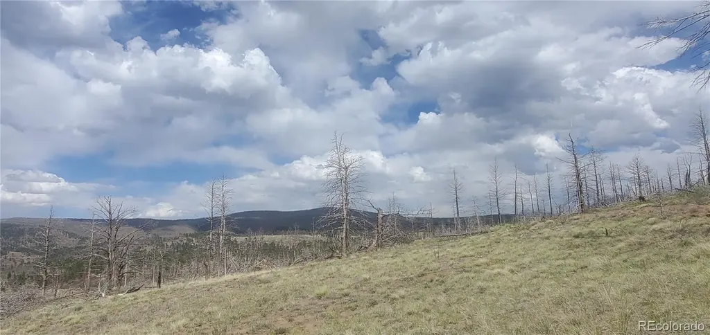 Lot 321 Hagin Lane Fort Garland CO 81133