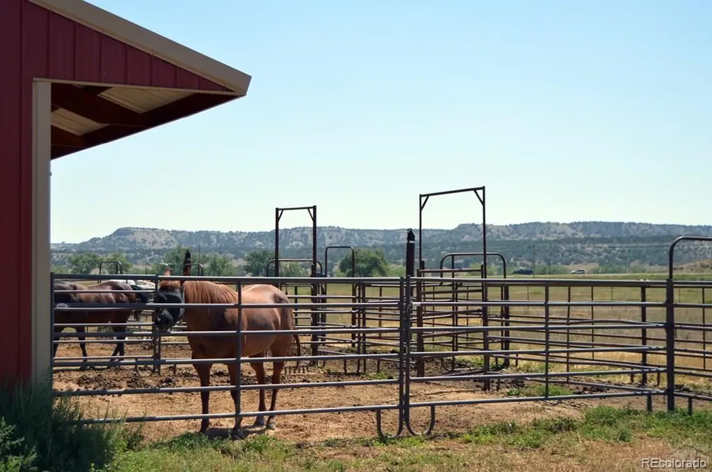 6053 Muddy Creek Road Pueblo CO 81004