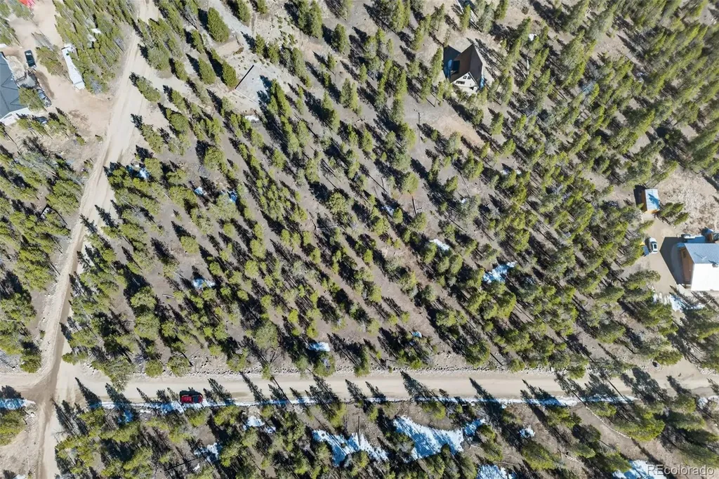 312 Mt Massive Road Twin Lakes CO 81251