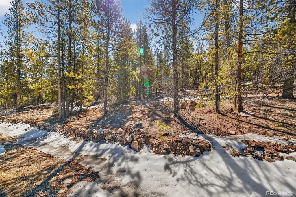 312 Mt Massive Road Twin Lakes CO 81251