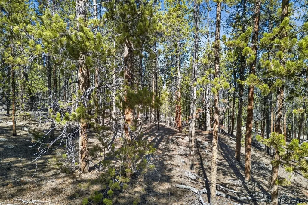 312 Mt Massive Road Twin Lakes CO 81251