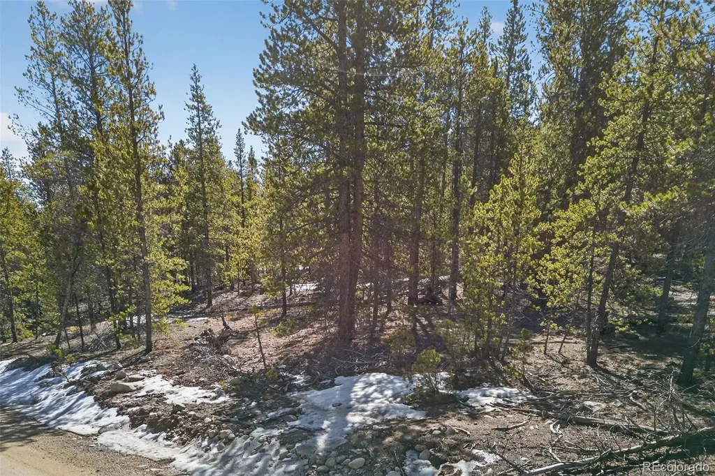 312 Mt Massive Road Twin Lakes CO 81251