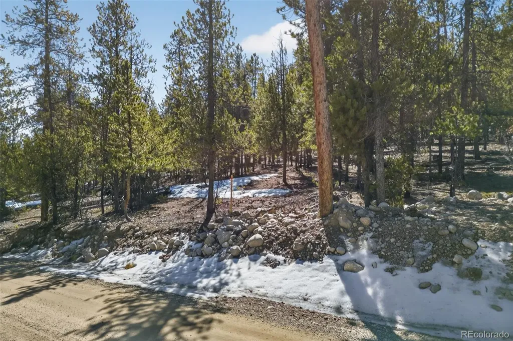 312 Mt Massive Road Twin Lakes CO 81251