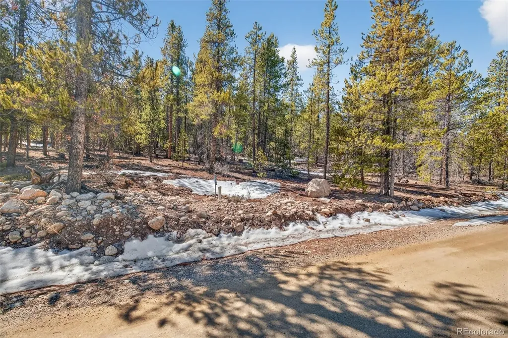 312 Mt Massive Road Twin Lakes CO 81251