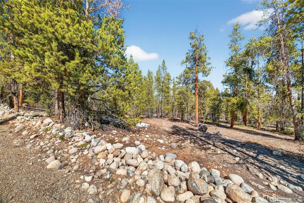 312 Mt Massive Road Twin Lakes CO 81251