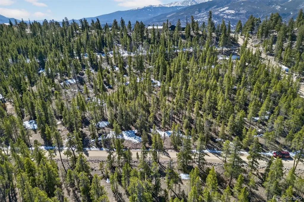 312 Mt Massive Road Twin Lakes CO 81251