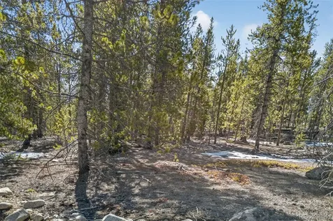 312 Mt Massive Road Twin Lakes CO 81251