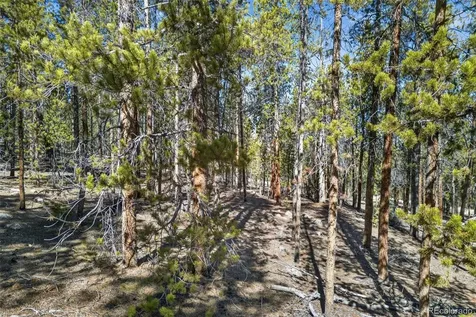 312 Mt Massive Road Twin Lakes CO 81251